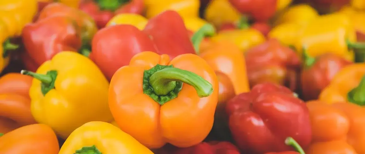 10 måder at spare på dagligvarebudgettet i 2025