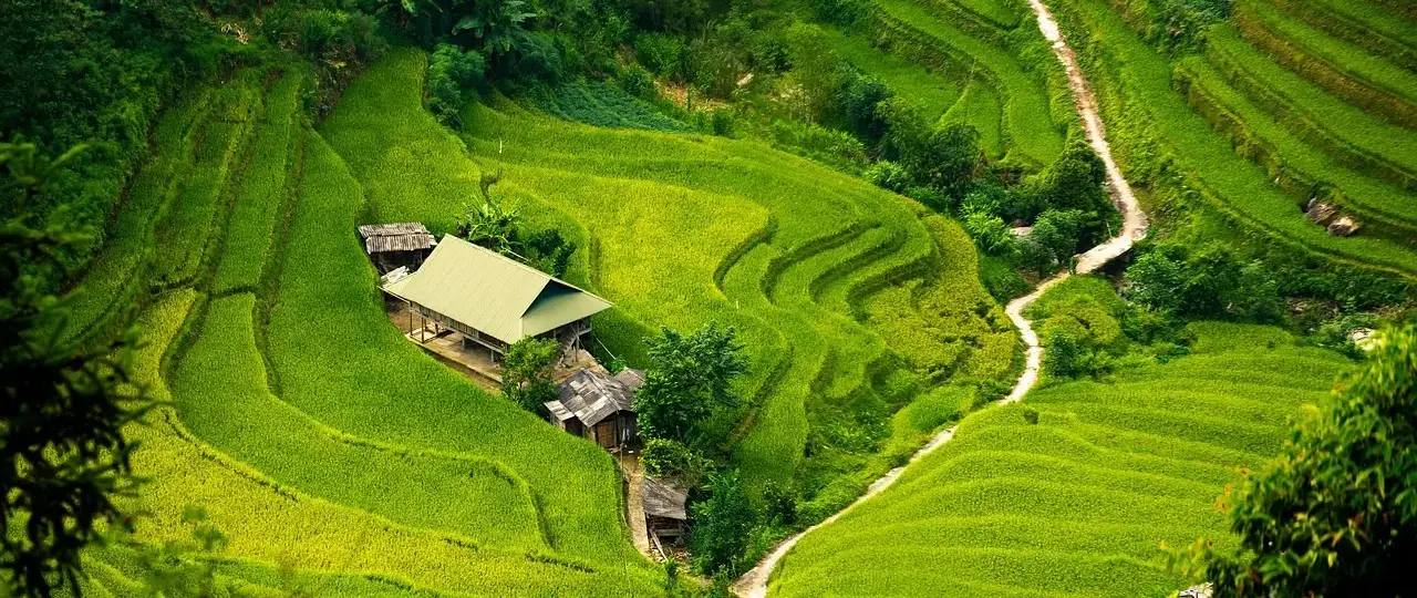 12 centrale makrobegreber forklaret