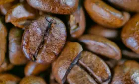 7 skjulte gebyrer ved brug af betalingskort i udlandet