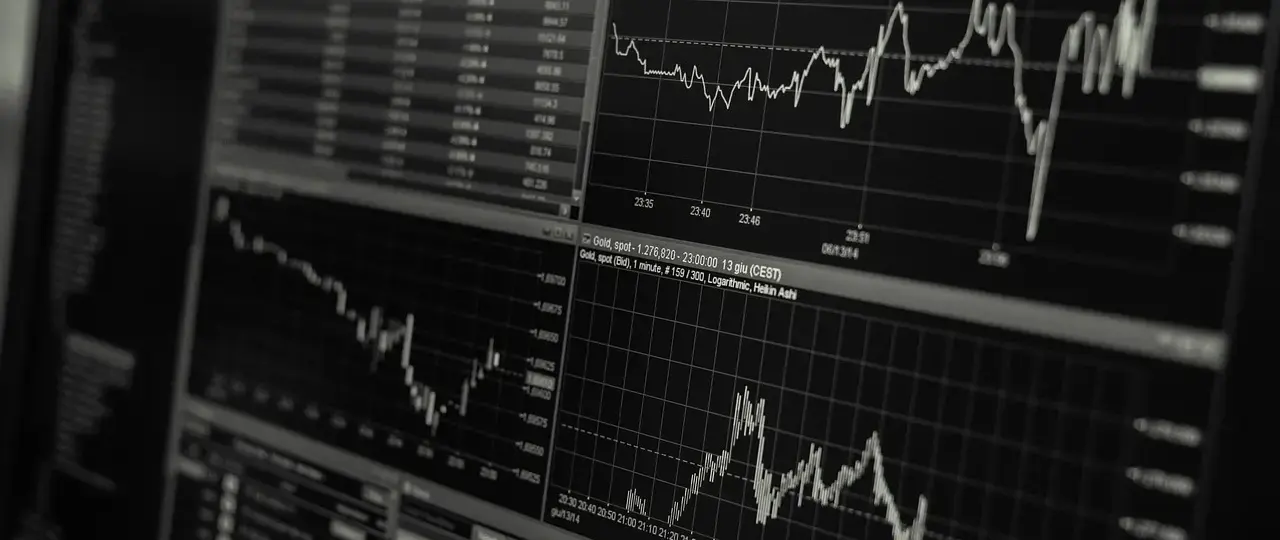 8 elasticiteter du skal kende i mikroøkonomi