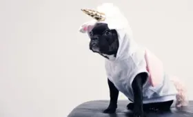 Fabeldyr Krydsord Løsning