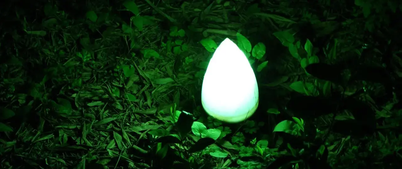 Hvad er forskellen på CPI og HICP?