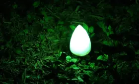 Hvad er forskellen på CPI og HICP?