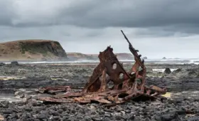Hvad er Modigliani-Miller-teoremet uden skatter?