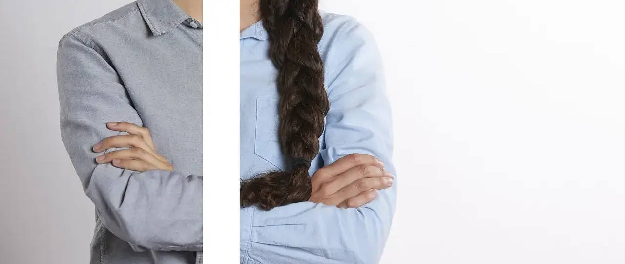 Hvad er Ricardiansk ækvivalens?