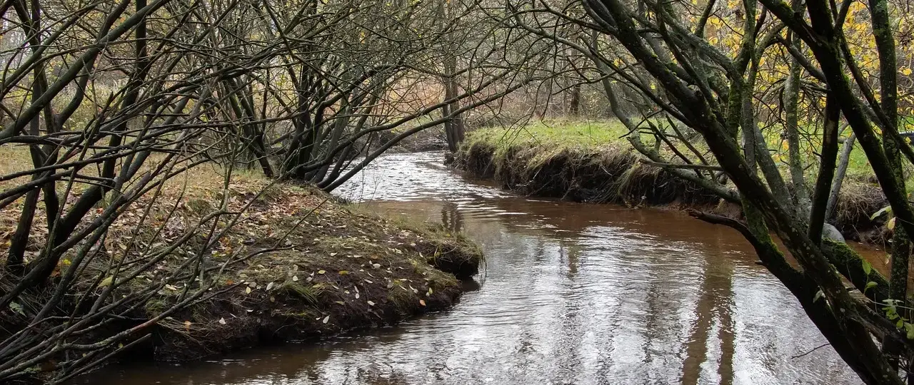 Hvad skabte Esbjergs eksportboom efter havnens åbning i 1868?