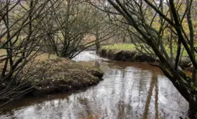 Hvad skabte Esbjergs eksportboom efter havnens åbning i 1868?