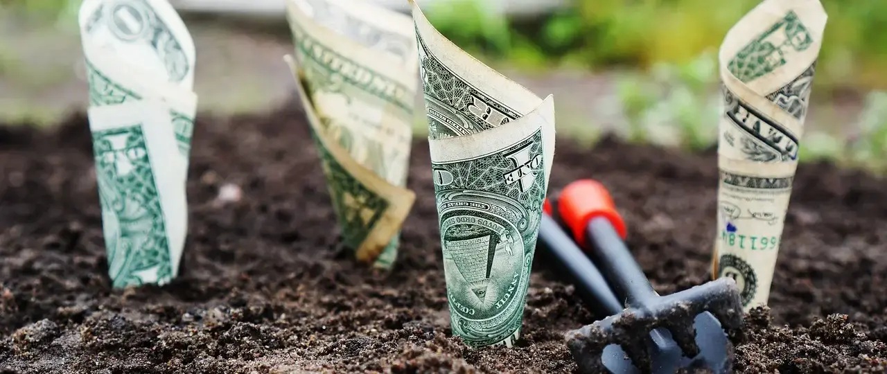 Hvilken opsparingskonto giver den bedste rente i 2025?