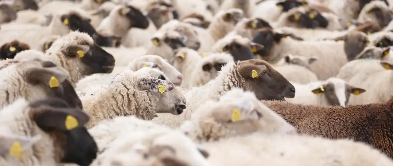 Hvordan ændrede telegrafen aktiehandlen i perioden 1860-1880?