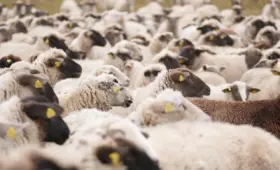 Hvordan ændrede telegrafen aktiehandlen i perioden 1860-1880?