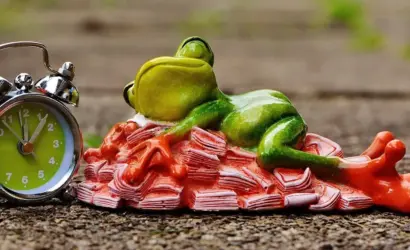 Hvornår skal du betale gaveafgift af større pengebeløb?