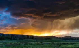 Medvirkende i Yellowstone