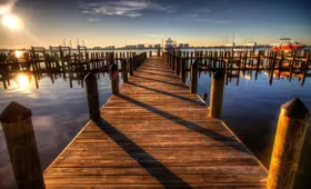 Pier i Krydsord Løsning