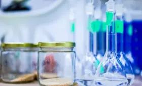 Pure i Krydsord Hjælp