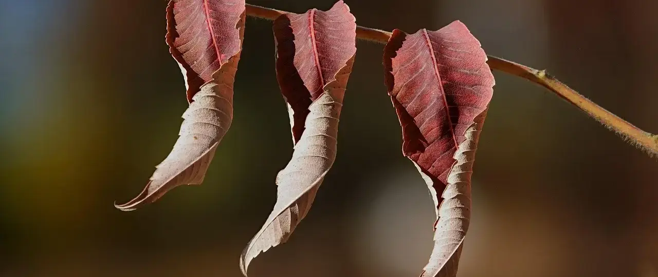 Sådan beregner du marginalomkostningen - trin for trin