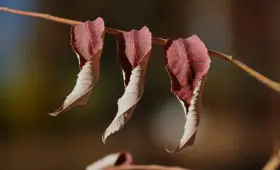 Sådan beregner du marginalomkostningen - trin for trin