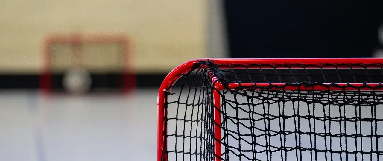 Sådan beregner du nettonutidsværdi (NNV/NPV)