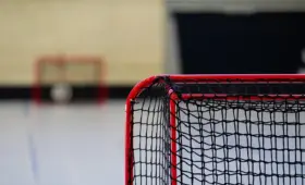 Sådan beregner du nettonutidsværdi (NNV/NPV)