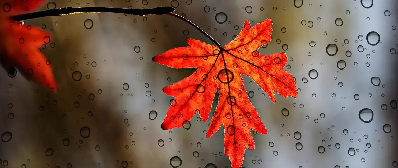 Tips for Erklæring i Krydsord