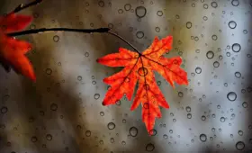 Tips for Erklæring i Krydsord